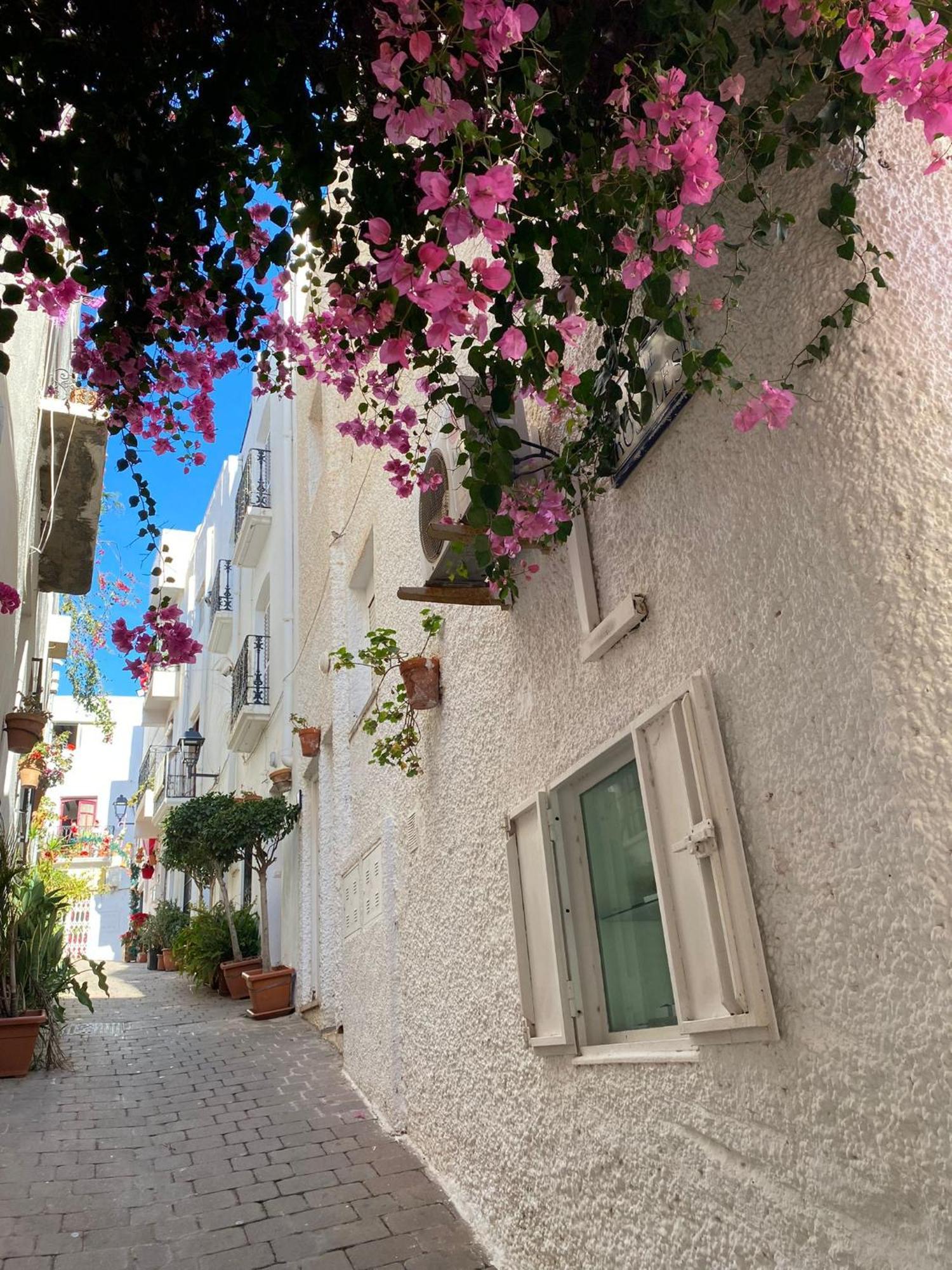 Aura Mar Mojacar Apartment Buitenkant foto
